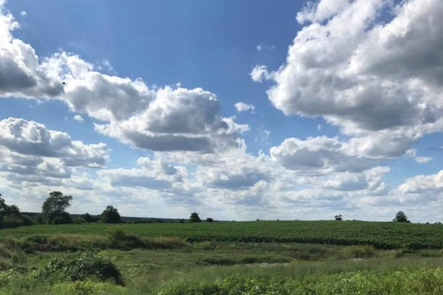 Your Front Porch Overlooks 90 Acres of Gorgeous Kentucky Bluegrass