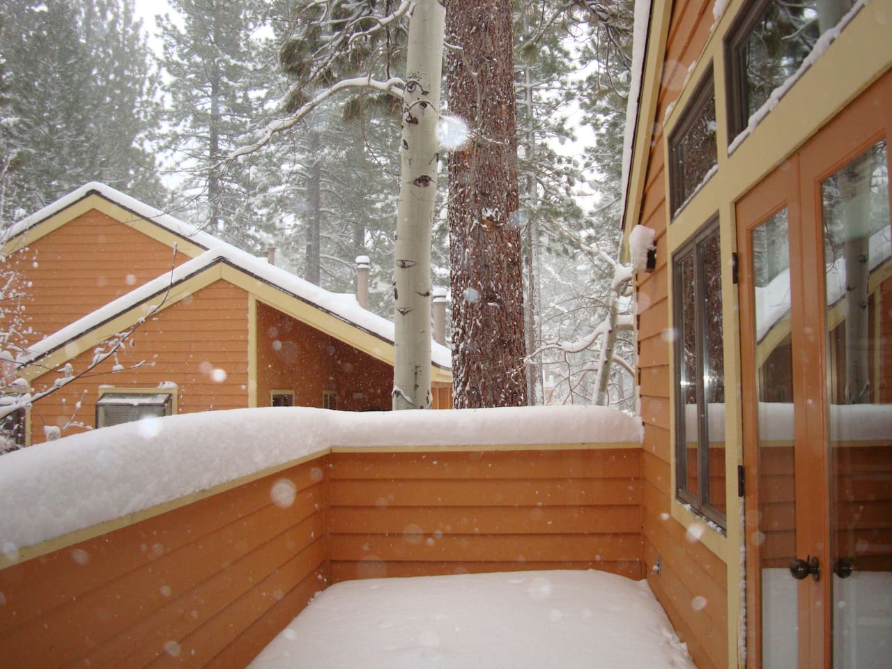 Winter wonderland!