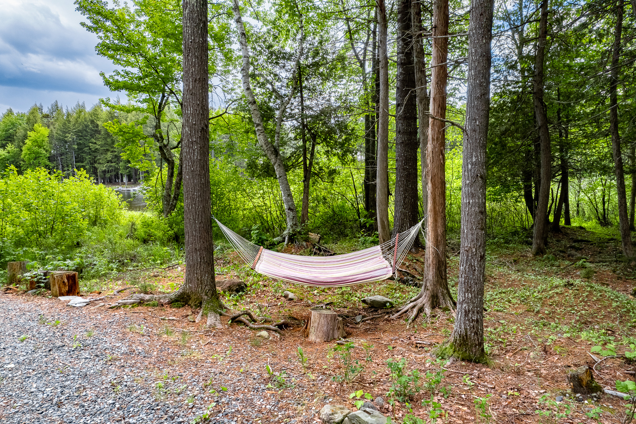 Hammock overlooking the lake. Perfect spot to relax or take a nap!