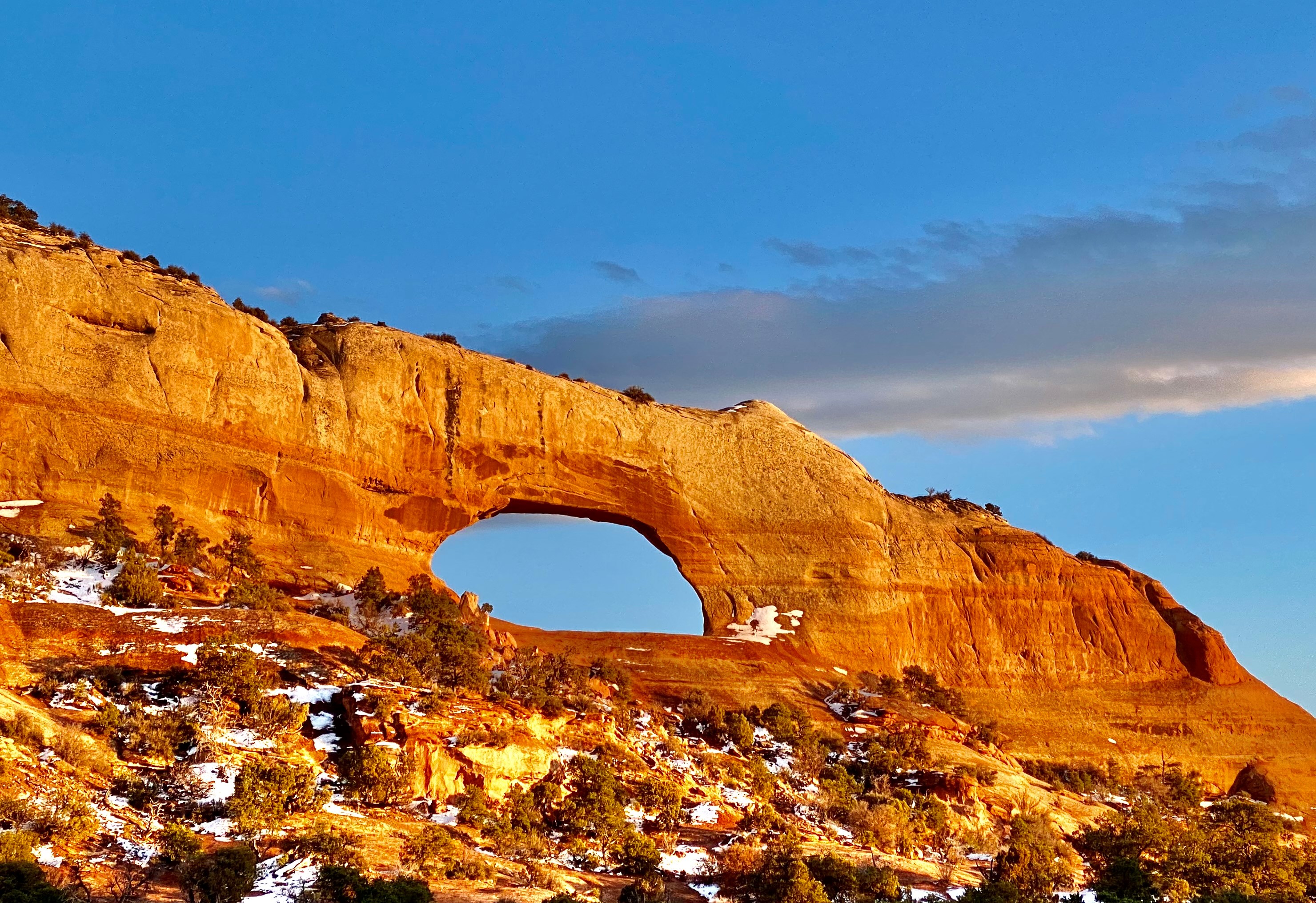 Wilson Arch