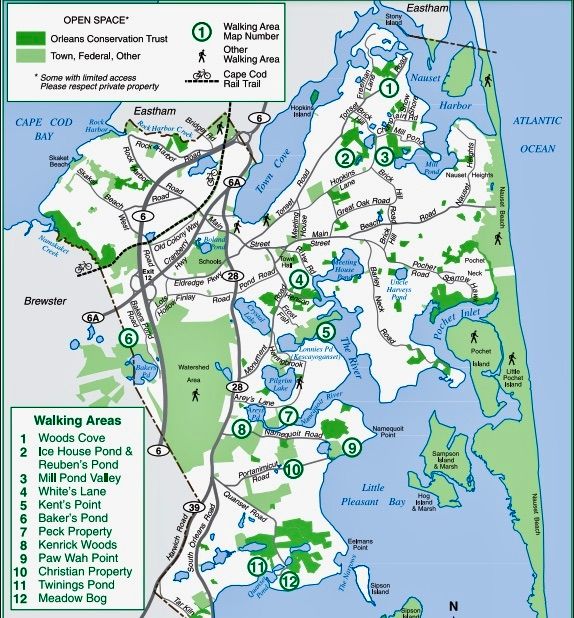 Orleans offers nearly 1,000 acres of open space—perfect for walking, swimming, or exploring trails—across public beaches, conservation lands, and town landings.