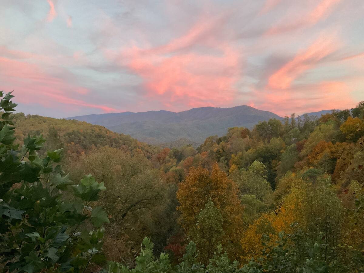 We love when guests share pictures with us, like this early fall view that they just couldn't get enough of.