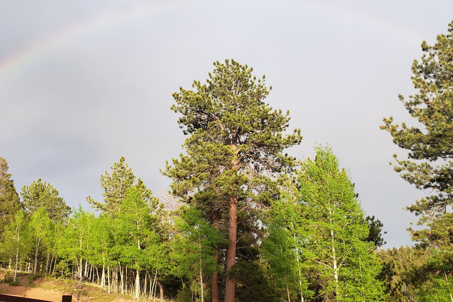 A beautiful rainbow in the afternoon