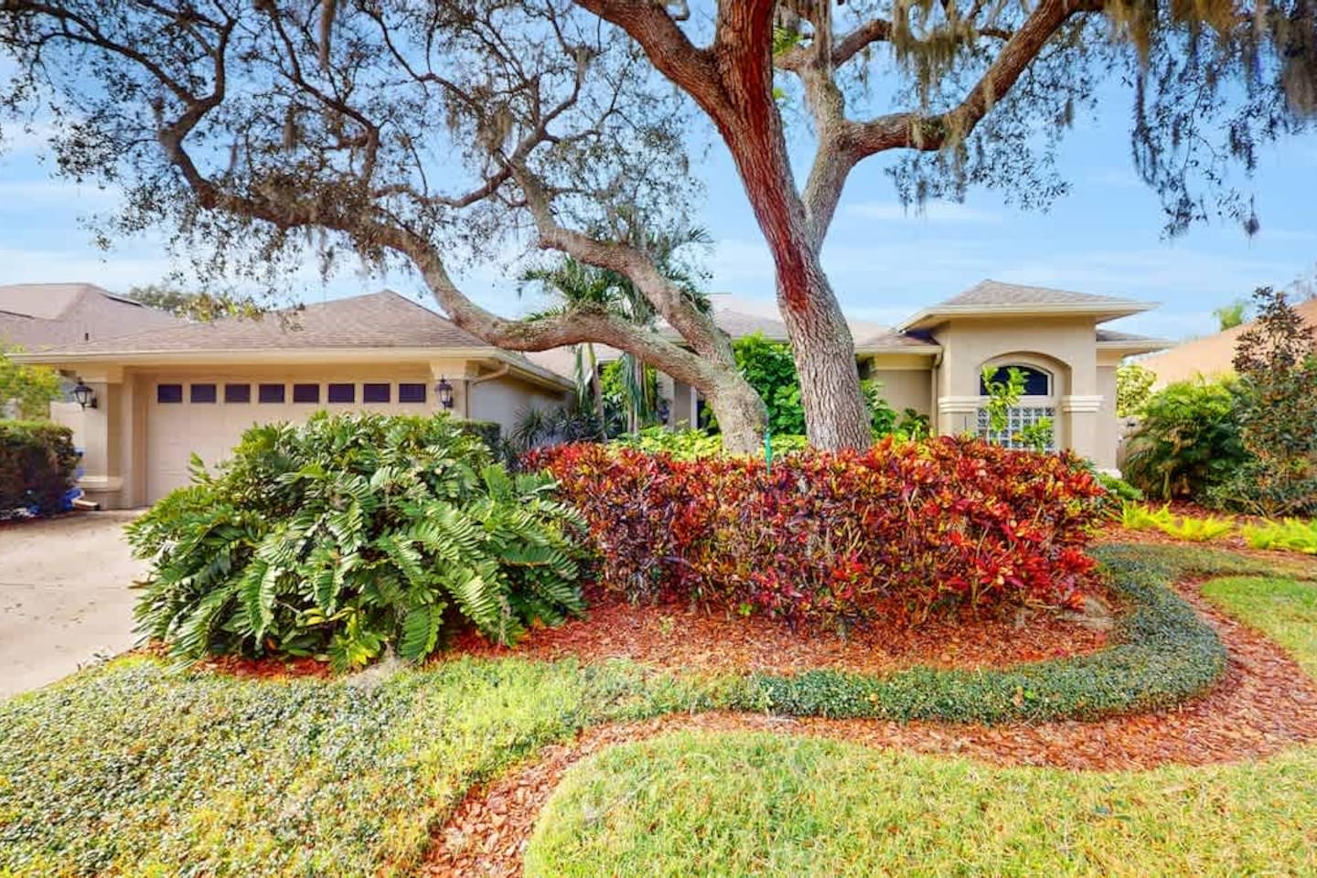Front Lawn Scape And Drive Way