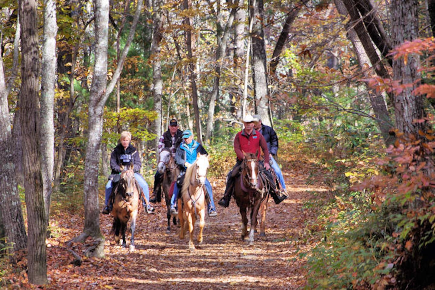 Nearby horseback riding