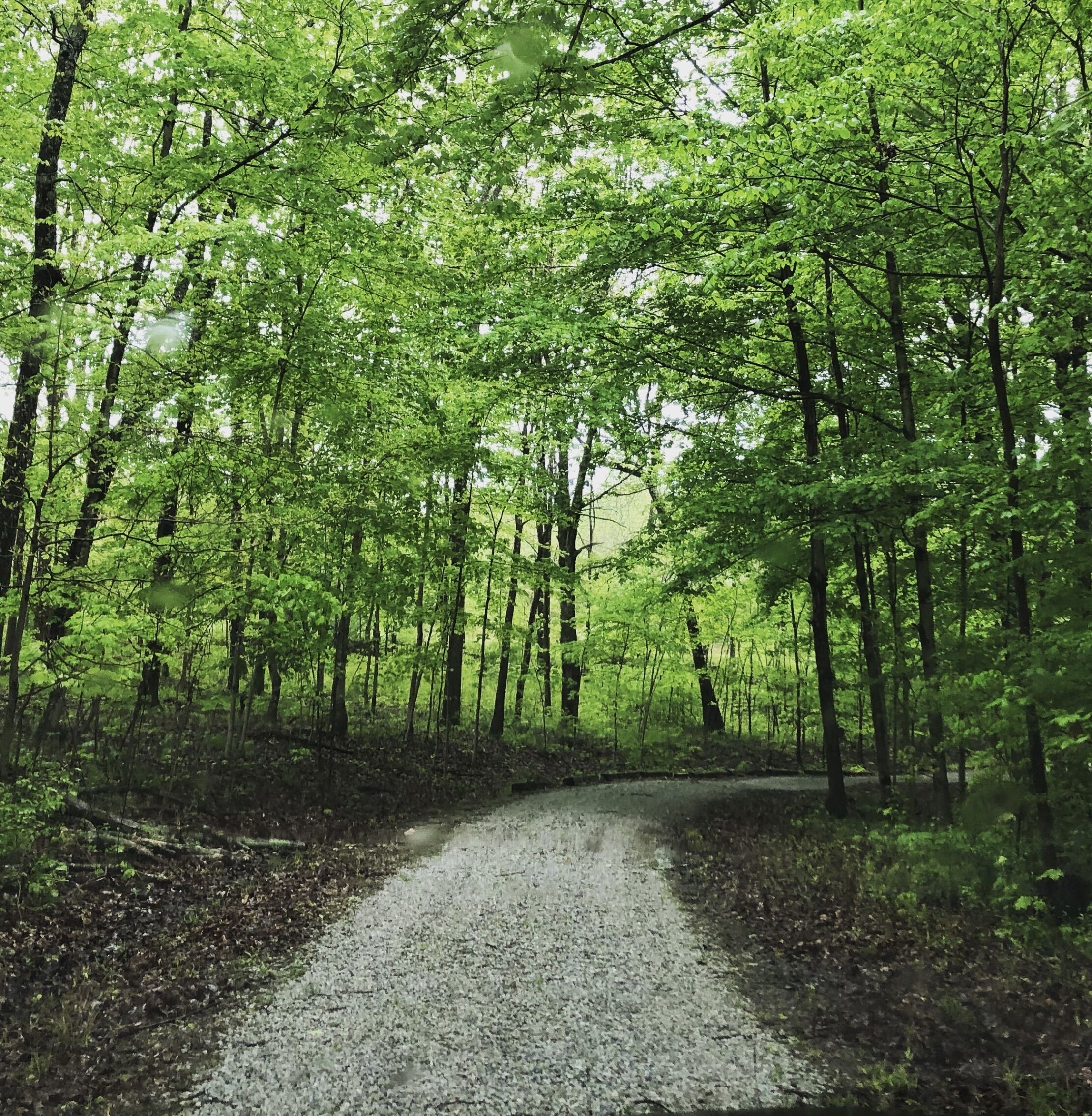 Even the driveway will relax you :D