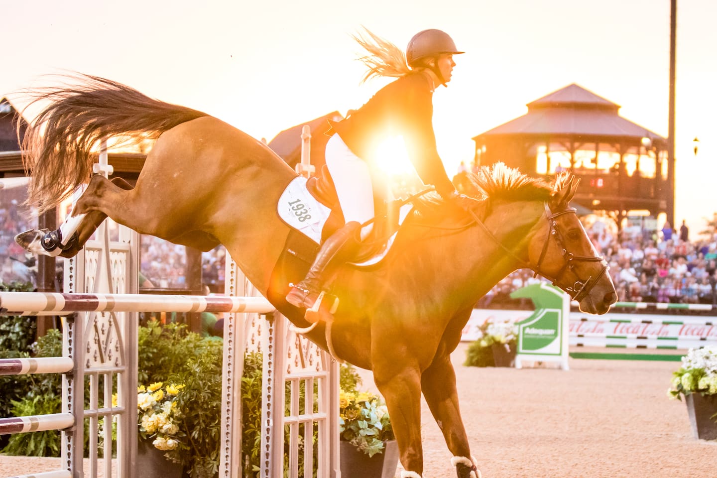 Tryon Equestrian Center- daily horse events, Friday Nite Lights Festivals in the summer, numerous restaurants and outside dining during horse events and concerts- 20 miles away.