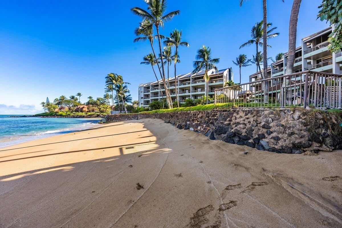 Sea Turtles (Honu) often sleep here