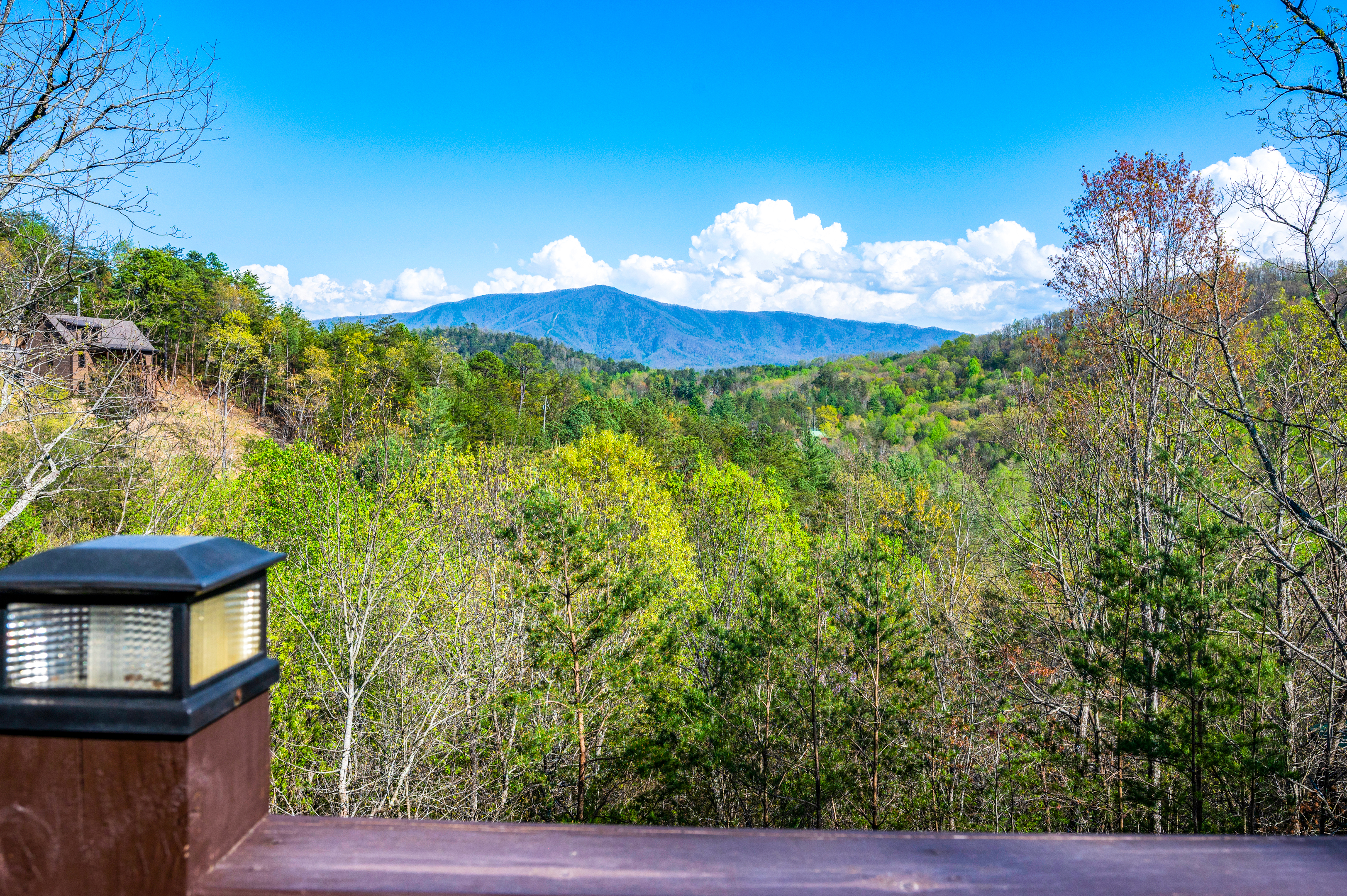 View from front deck