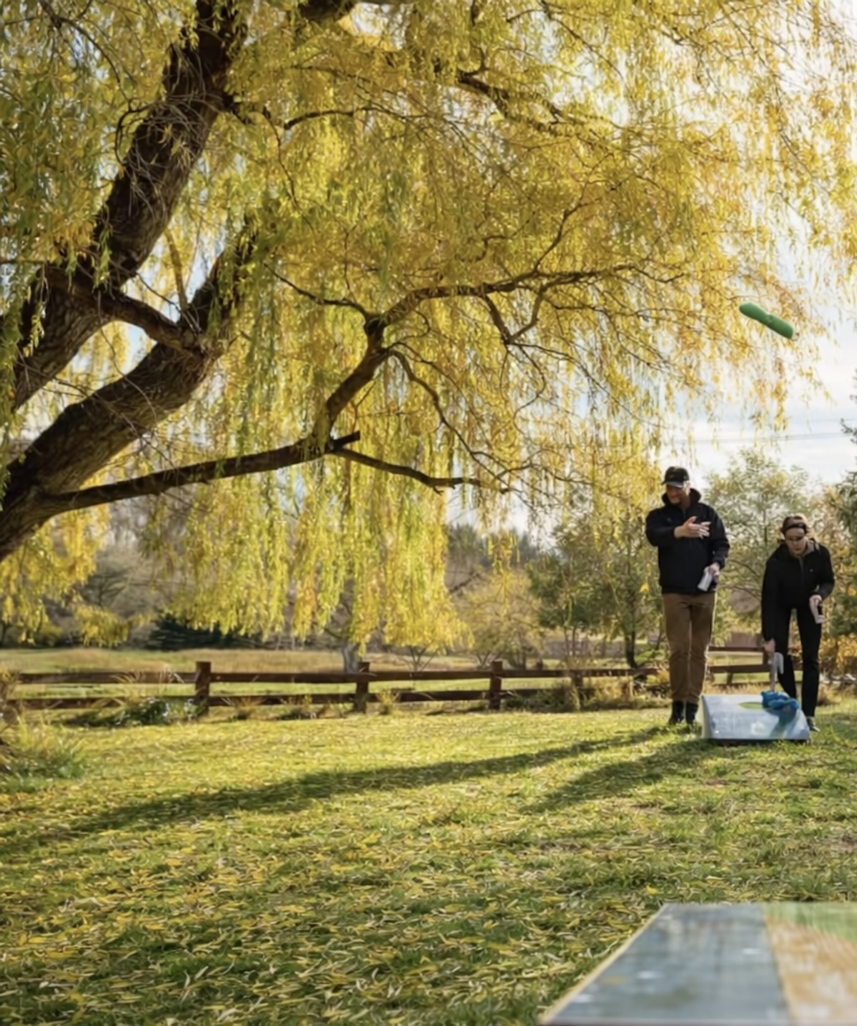 May the best toss win!