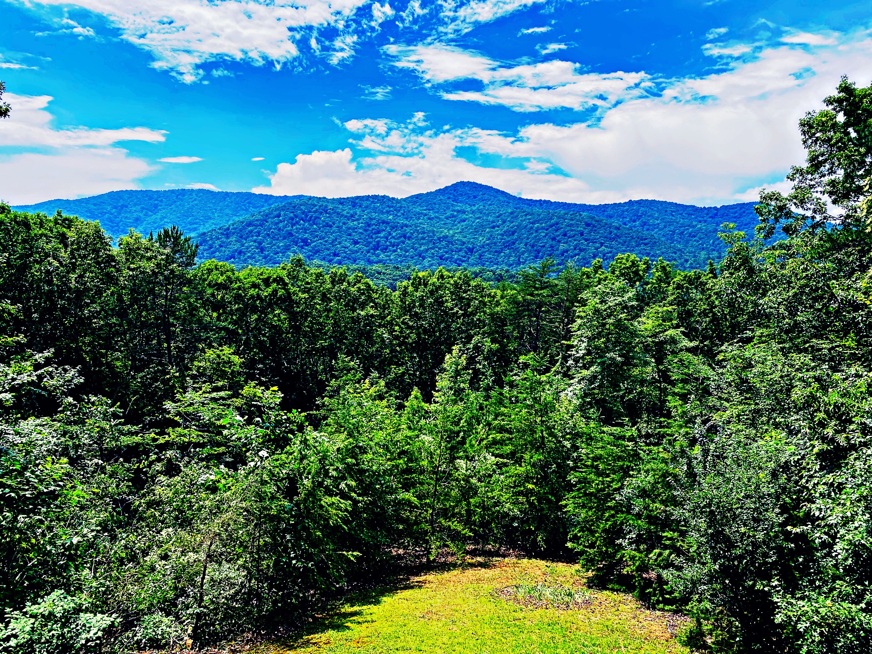 View 6