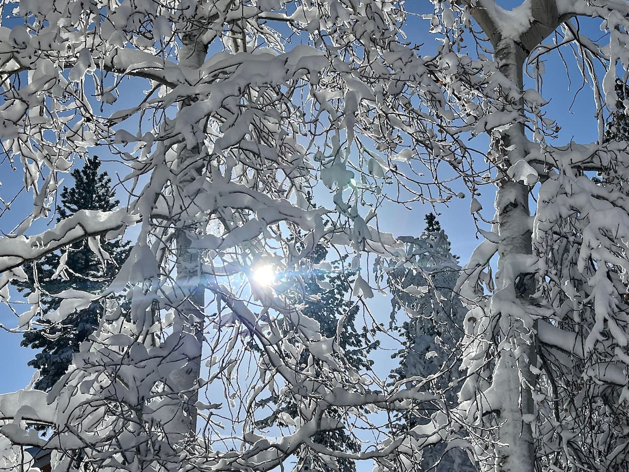 Explore the magic of Lake Tahoe's winter