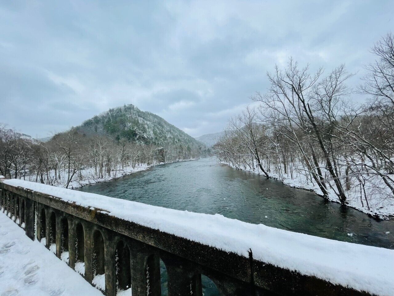 French Broad River Bridge in winter. Simply gorgeous