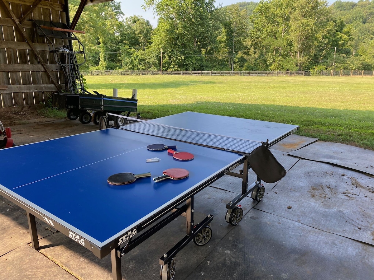 Ping Pong table (now gray top). Also badminton, bocci, croquet and horse shoes.