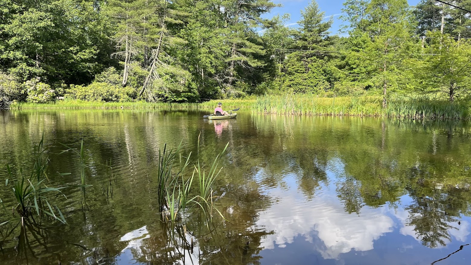Kayaking on the lake provides an up-close look at some of the resident animals, including turtles and fish.