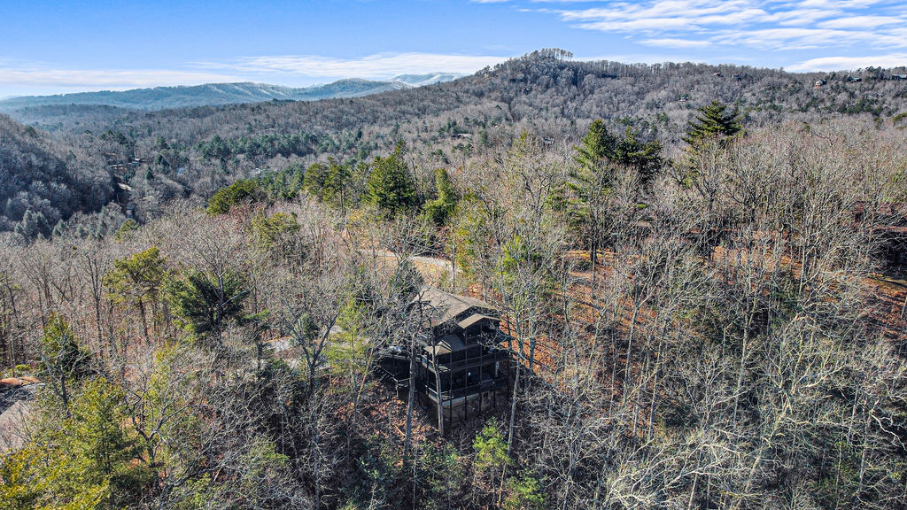 Ariel view of Grin and Bear It Mountain Retreat only 5 min from DT Blue Ridge