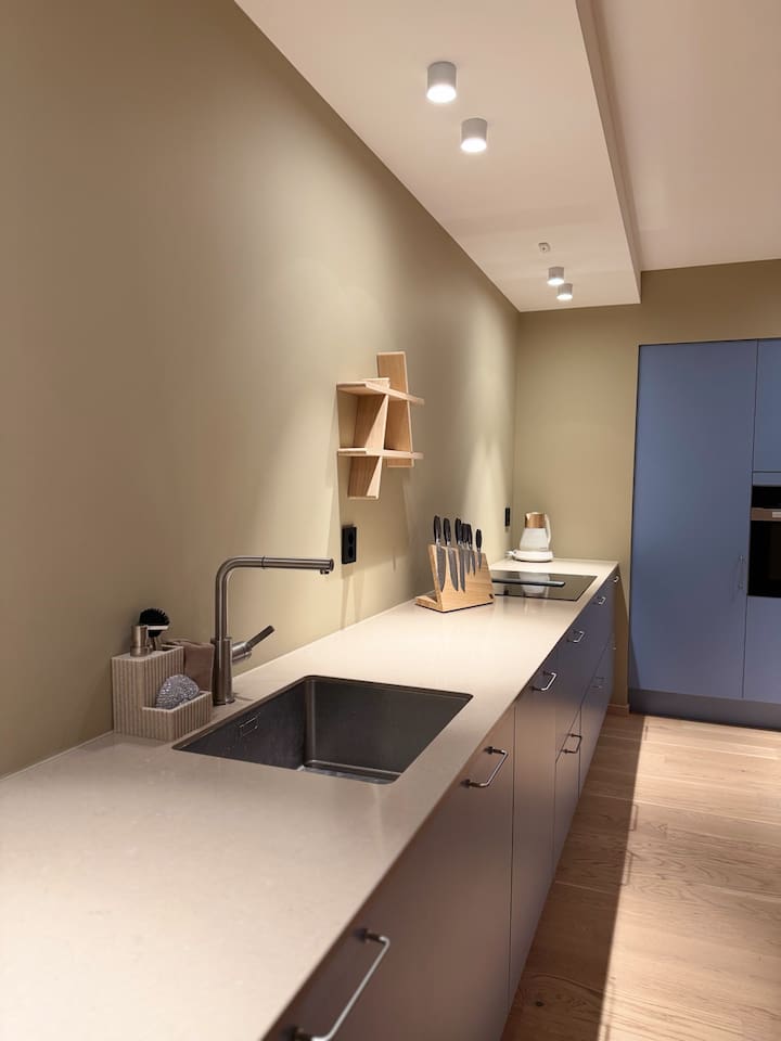 Kitchen with stone bench plate