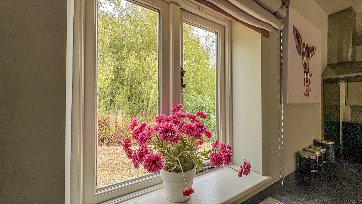 View from the windoe to the rear of the property