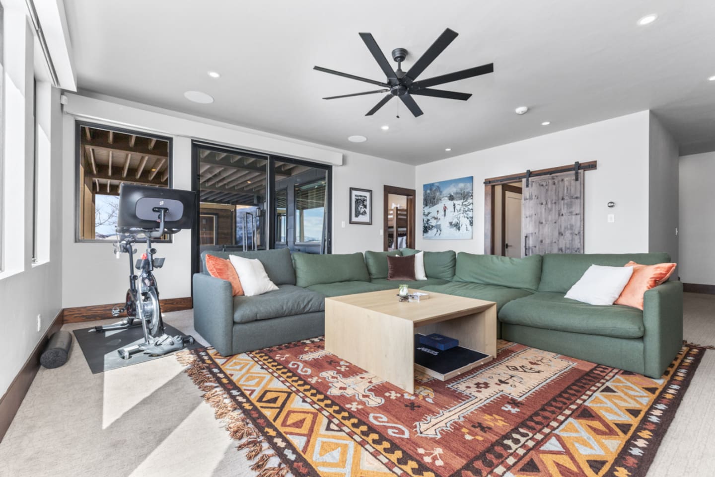 Lower Level Living Room | Spin Bike