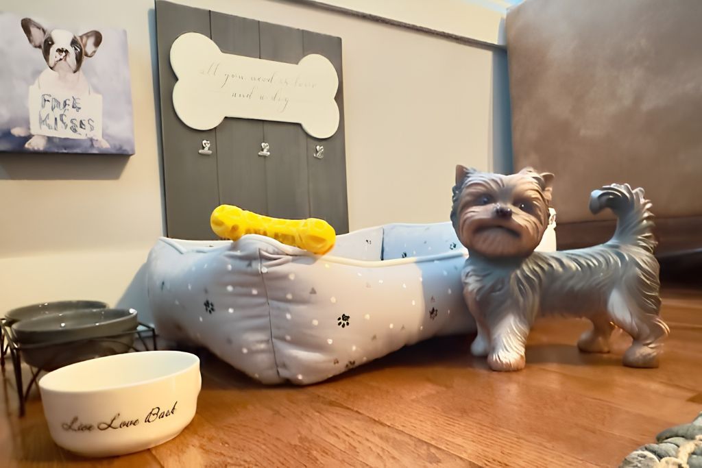 Pet friendly home