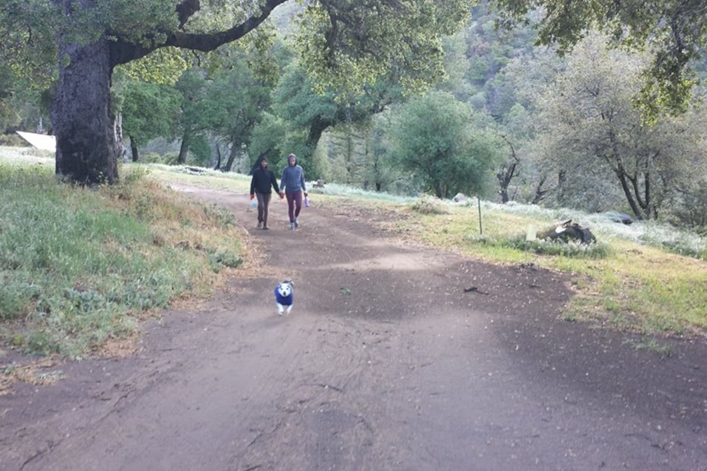 Long walks in nature