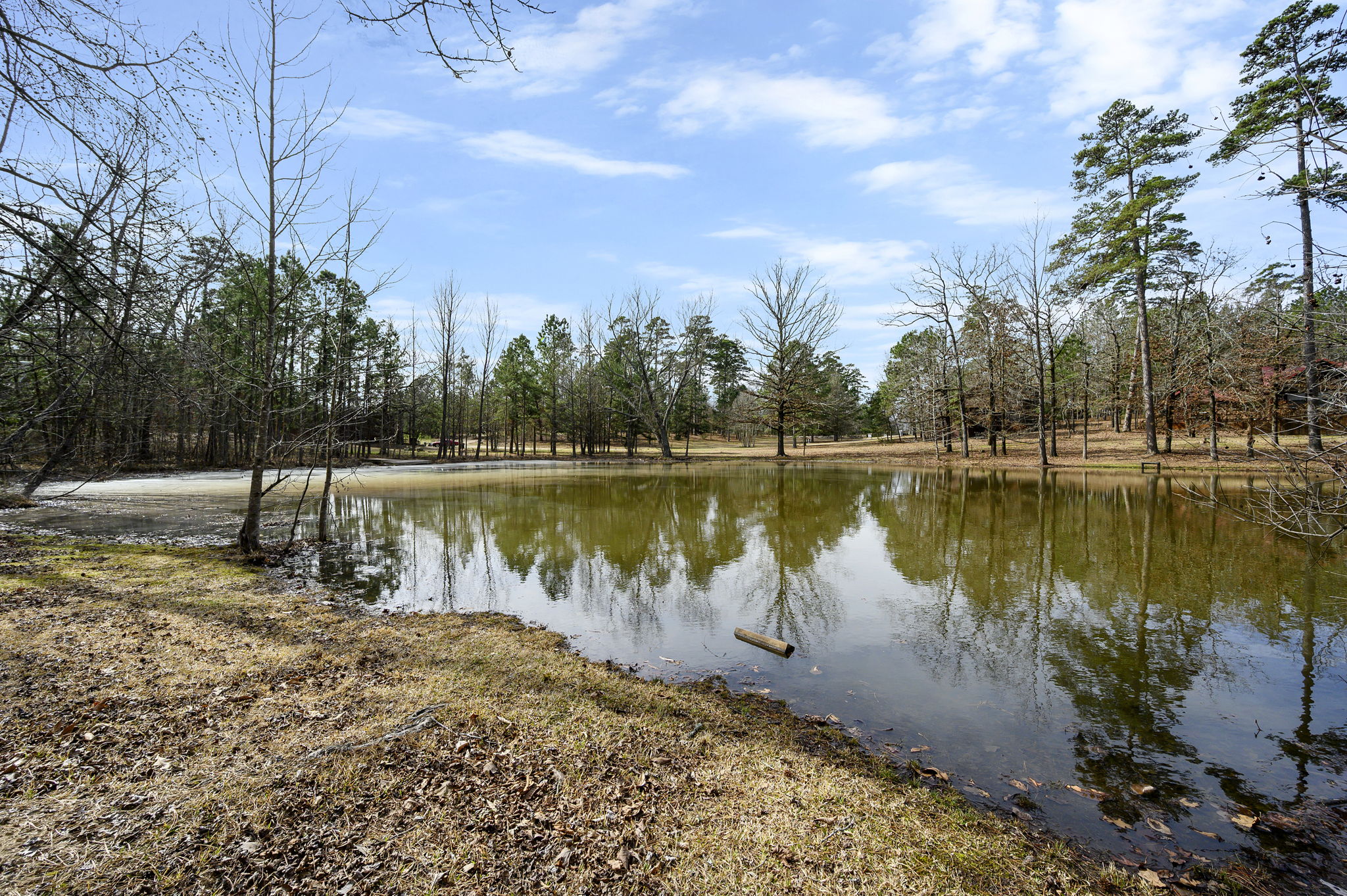 Peaceful pond views right outside your door. Enjoy quiet mornings with coffee or relaxed evenings surrounded by nature, all from the comfort of your private outdoor space.