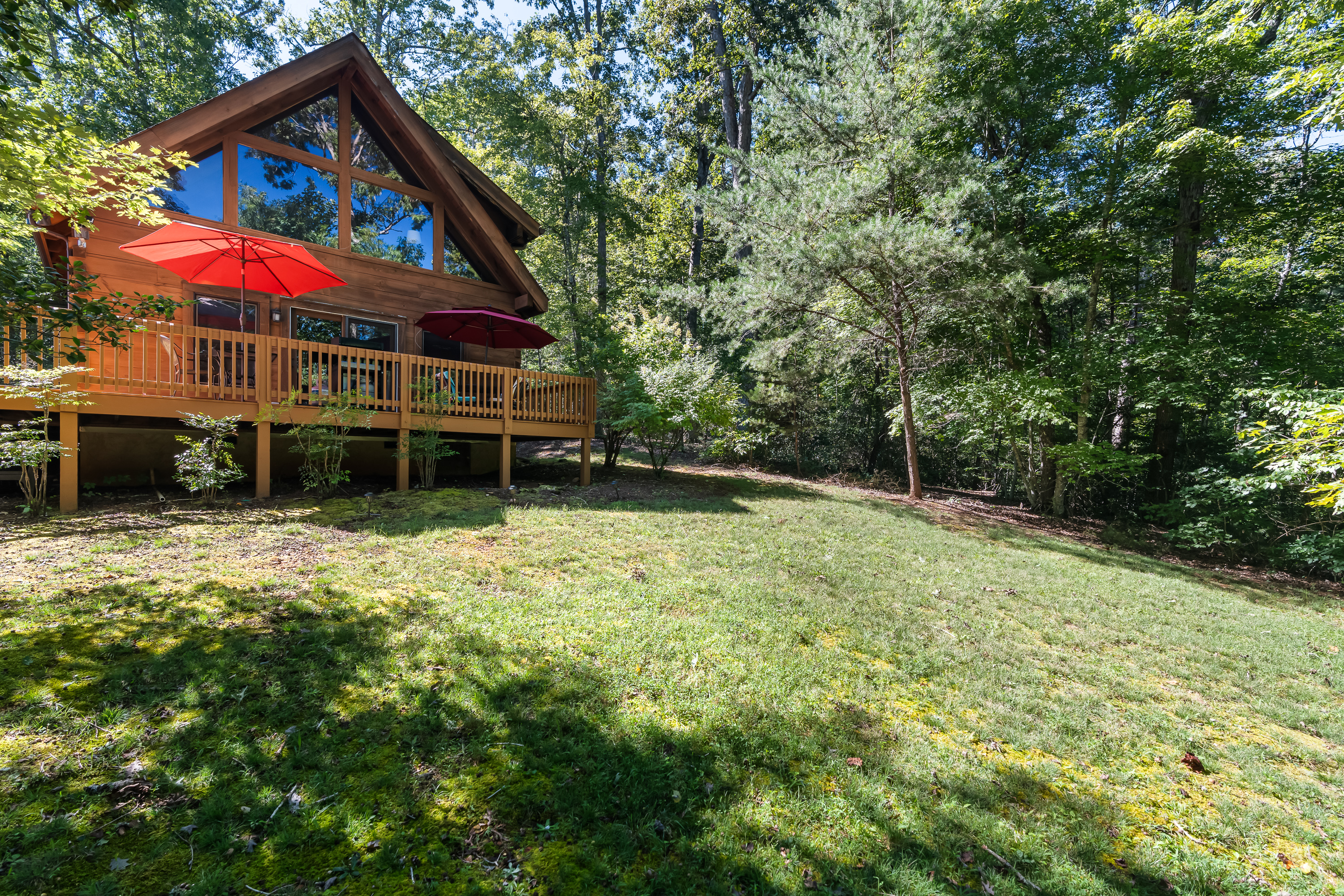Spacious backyard 