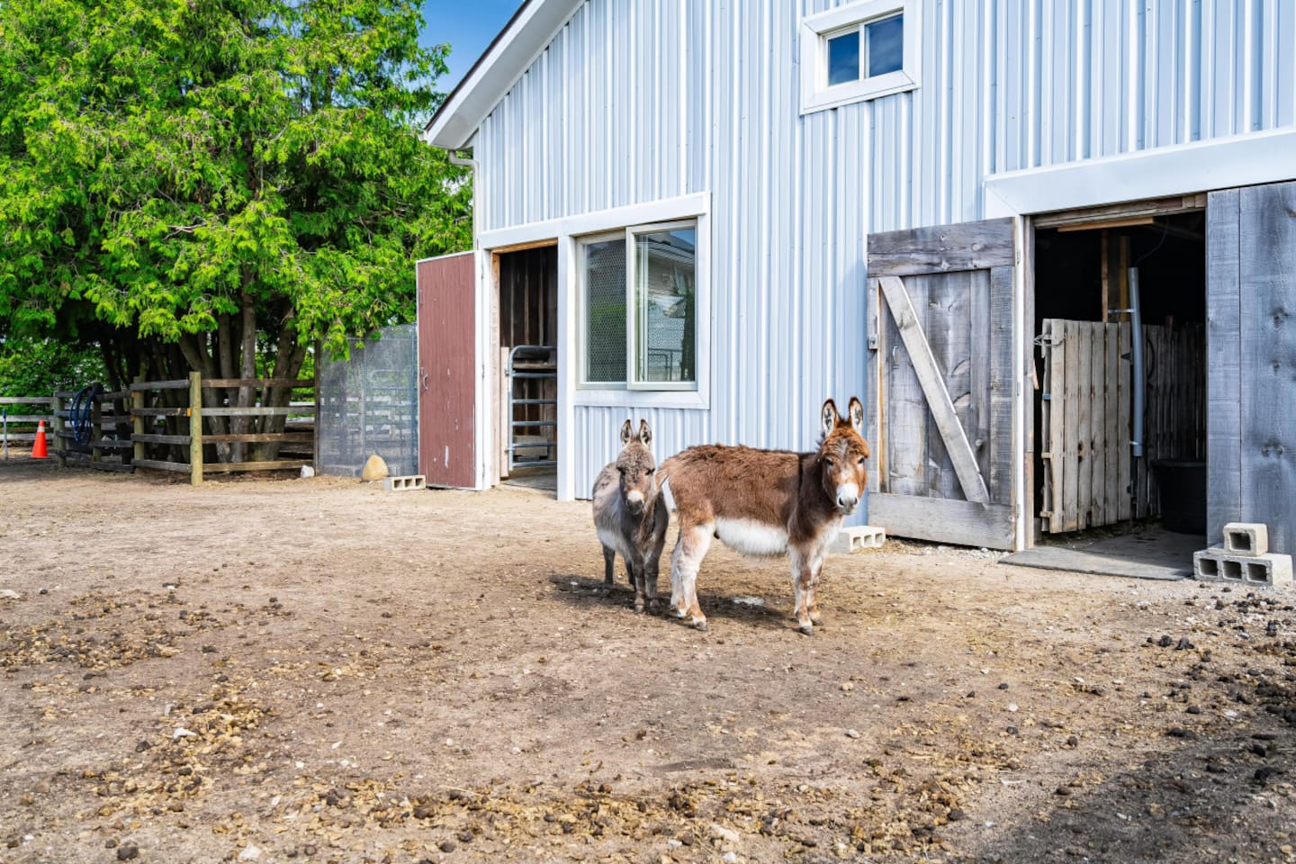 Barn For The Animals