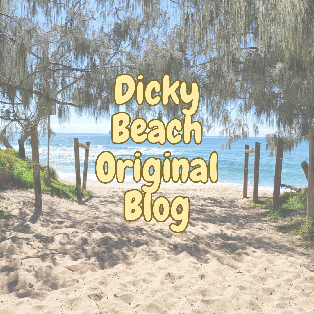 Blog - Dicky Beach Original Beach House