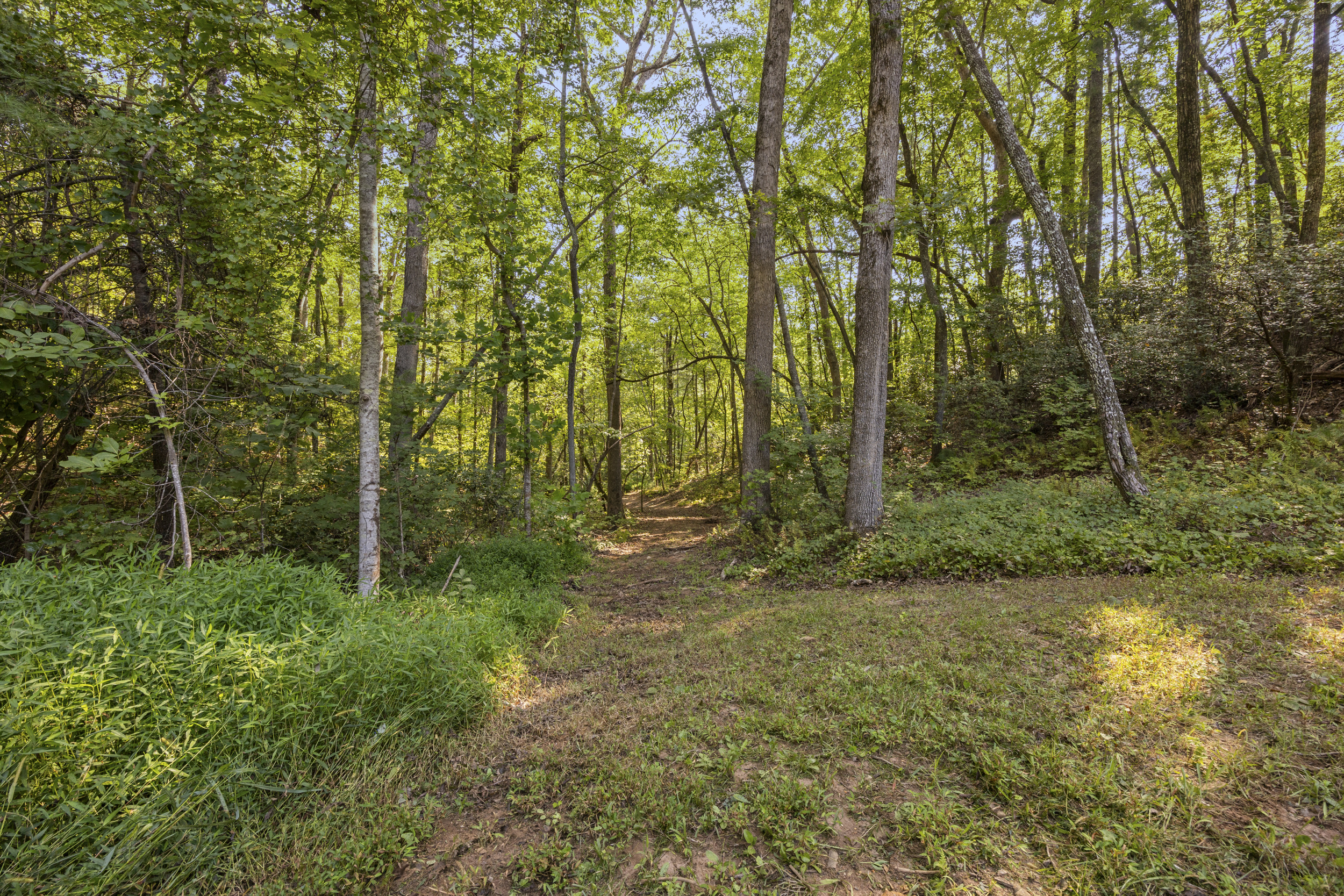 Wander the wooded trails and open spaces across 8 acres of private mountain land.