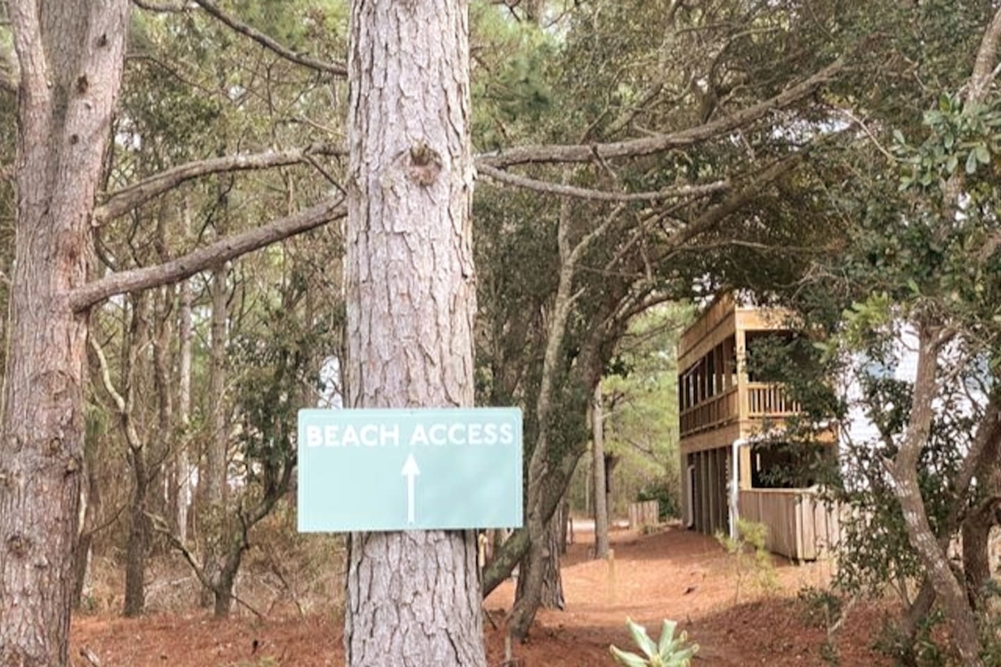 Community access path to the beach begins at the doorstep of the condo.