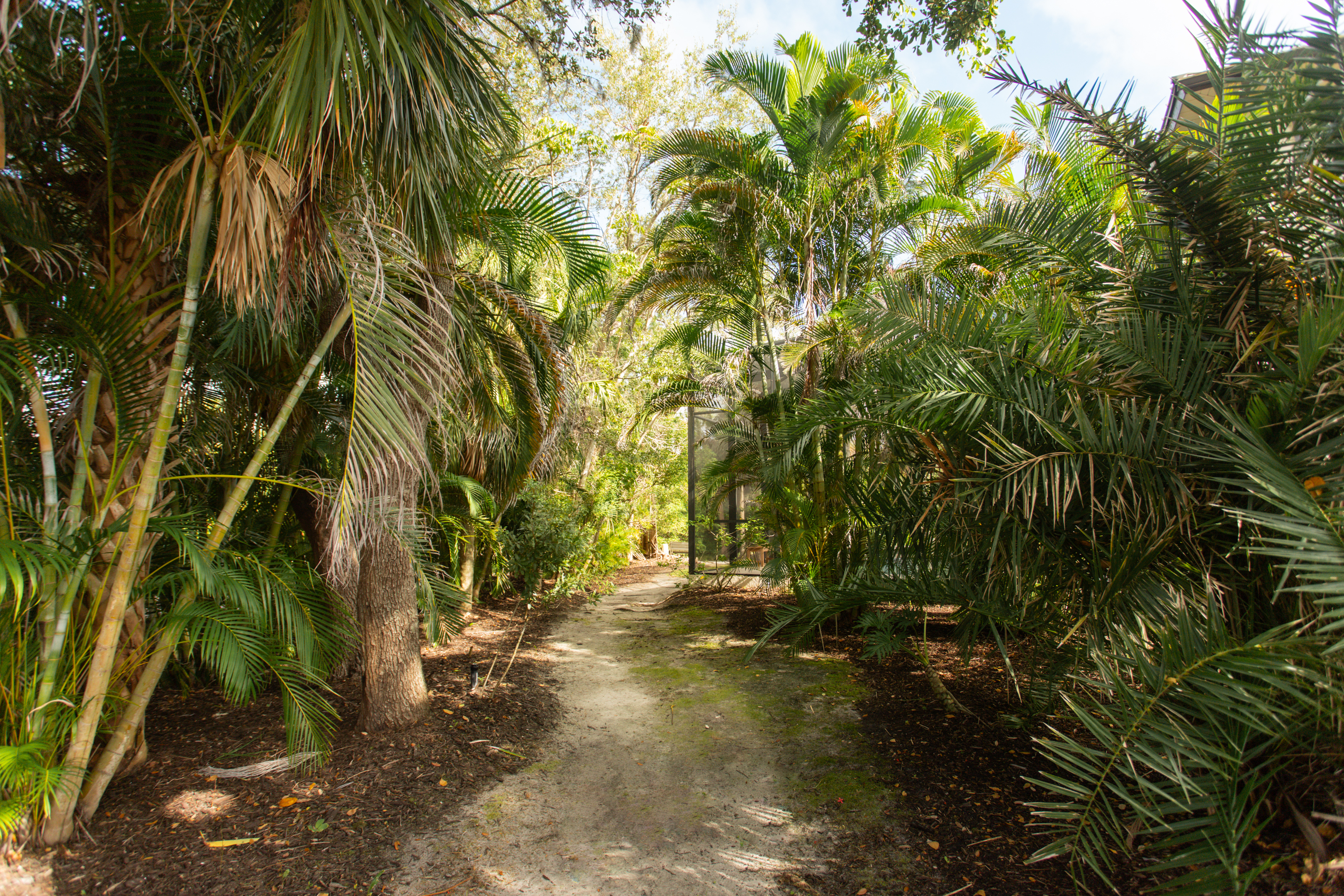The walk from the cul-de-sac to the backyard is where it all clicked. Peaceful, private, and alive with lizards, frogs, birds & stillness—it feels like Florida, unplugged. Come be one with nature at The Sideline Club.