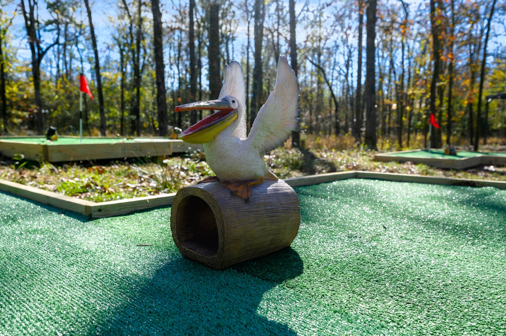 Missed that shot? Don’t worry, the bird’s got a laugh ready for you!