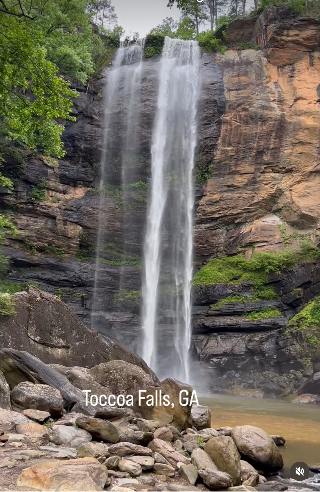 Find your Serenity by the Falls