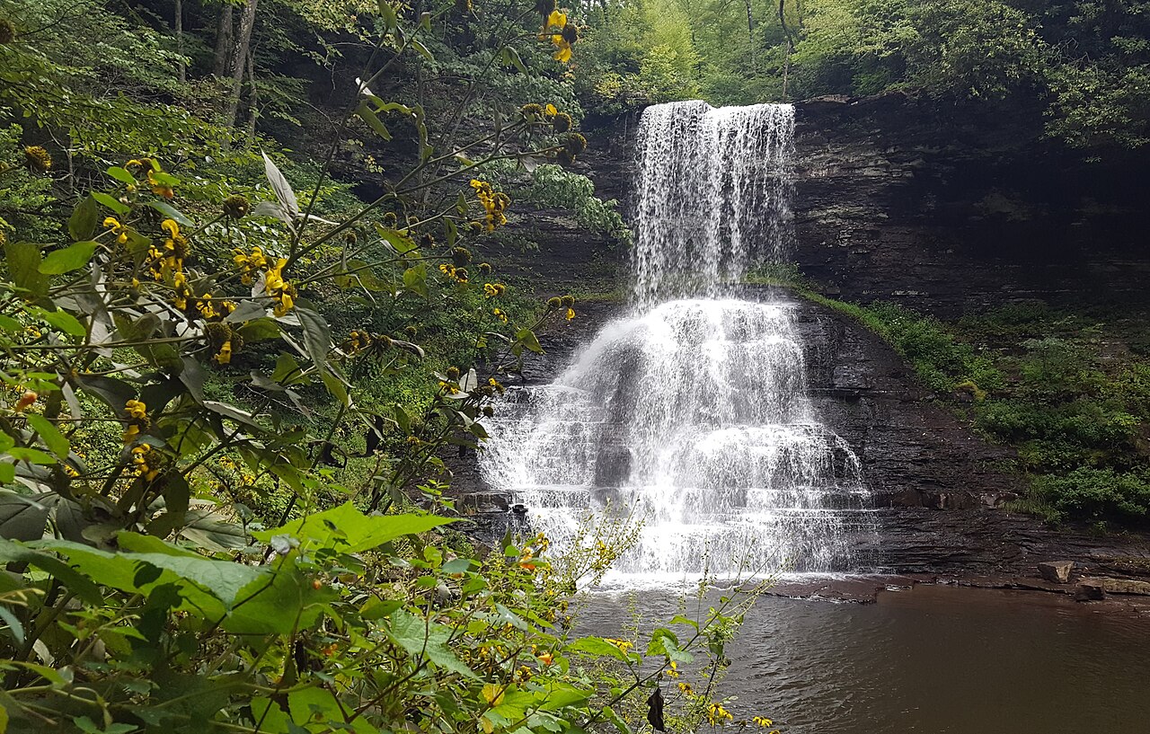 Hone Quarry Falls stream forest Virginia hiking