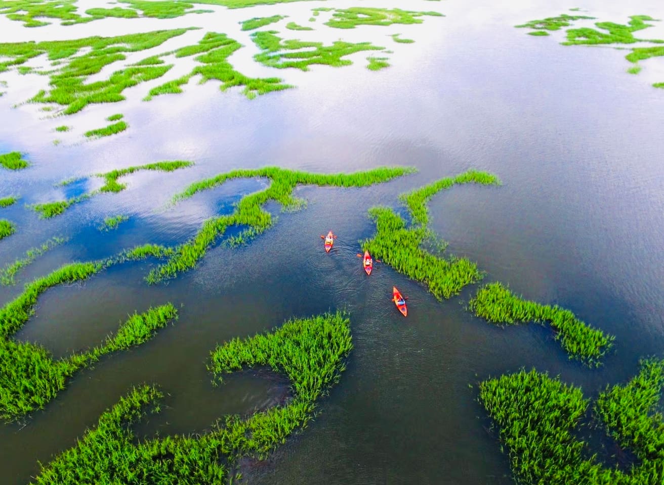 Kayaking the salt marsh