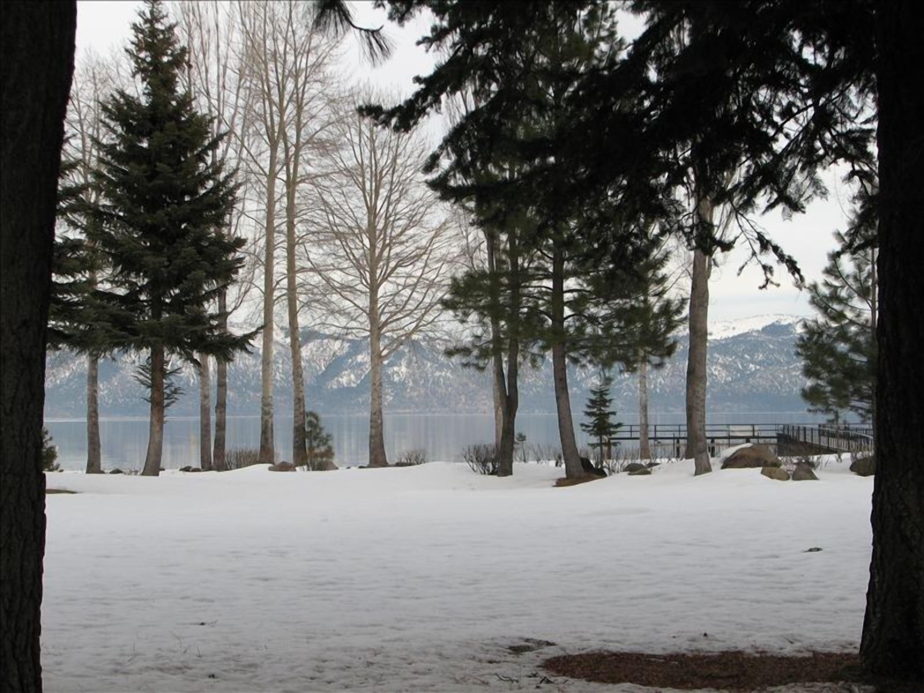 Awesome Winter Lake View!