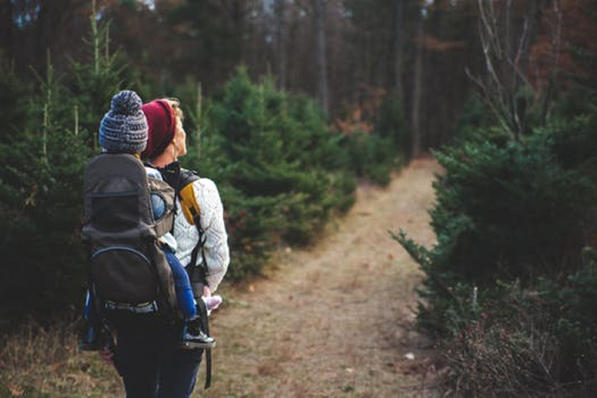 Nearby hiking