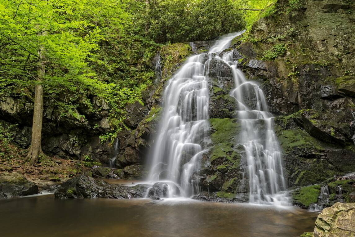 Falls