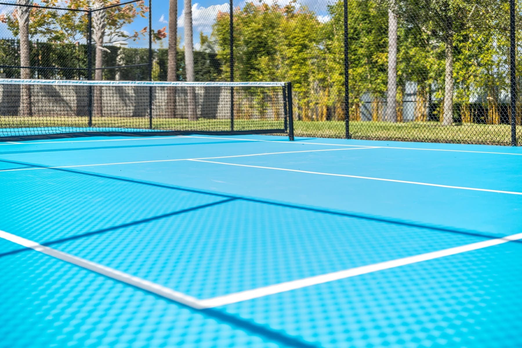 New Pickleball Courts