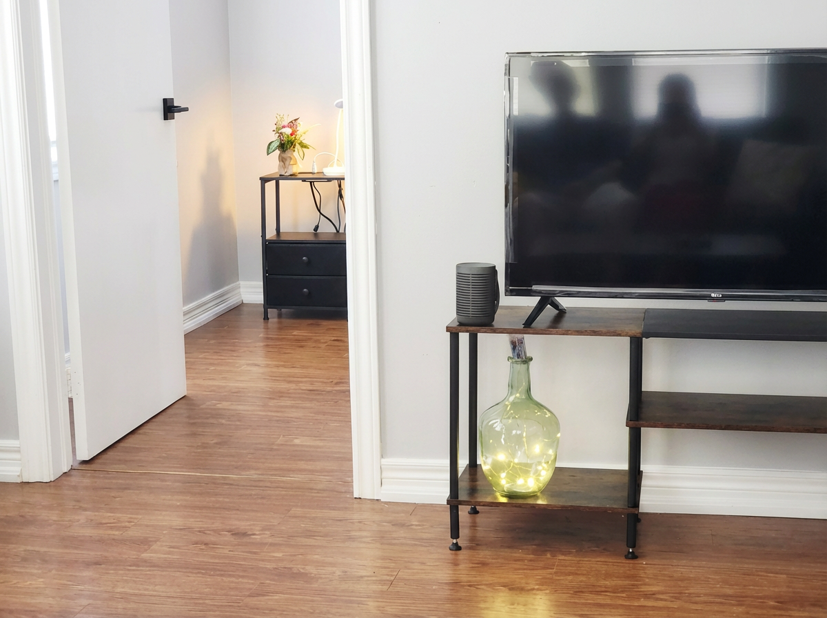 Door to separate workspace from Living room TV... 