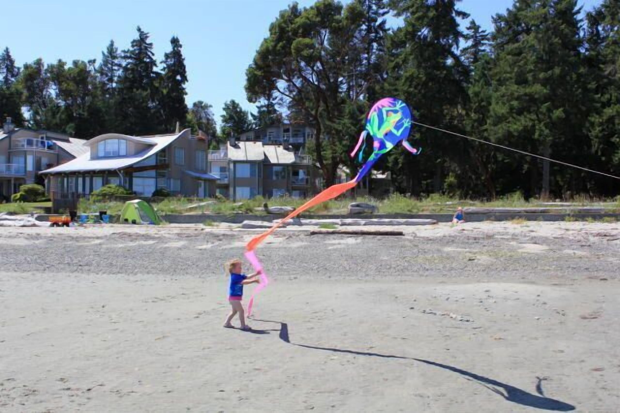 Some days having a kite is great!