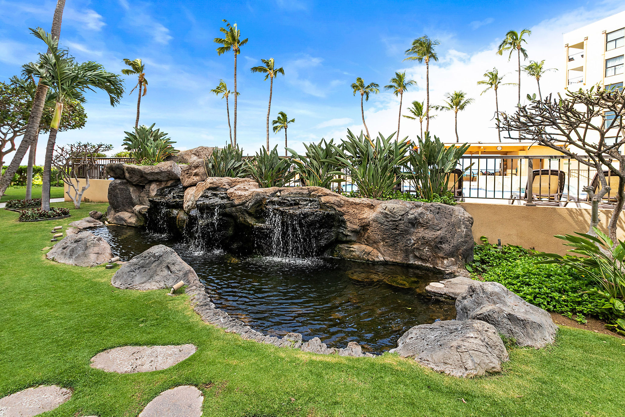 The koi pond with the pool behind
