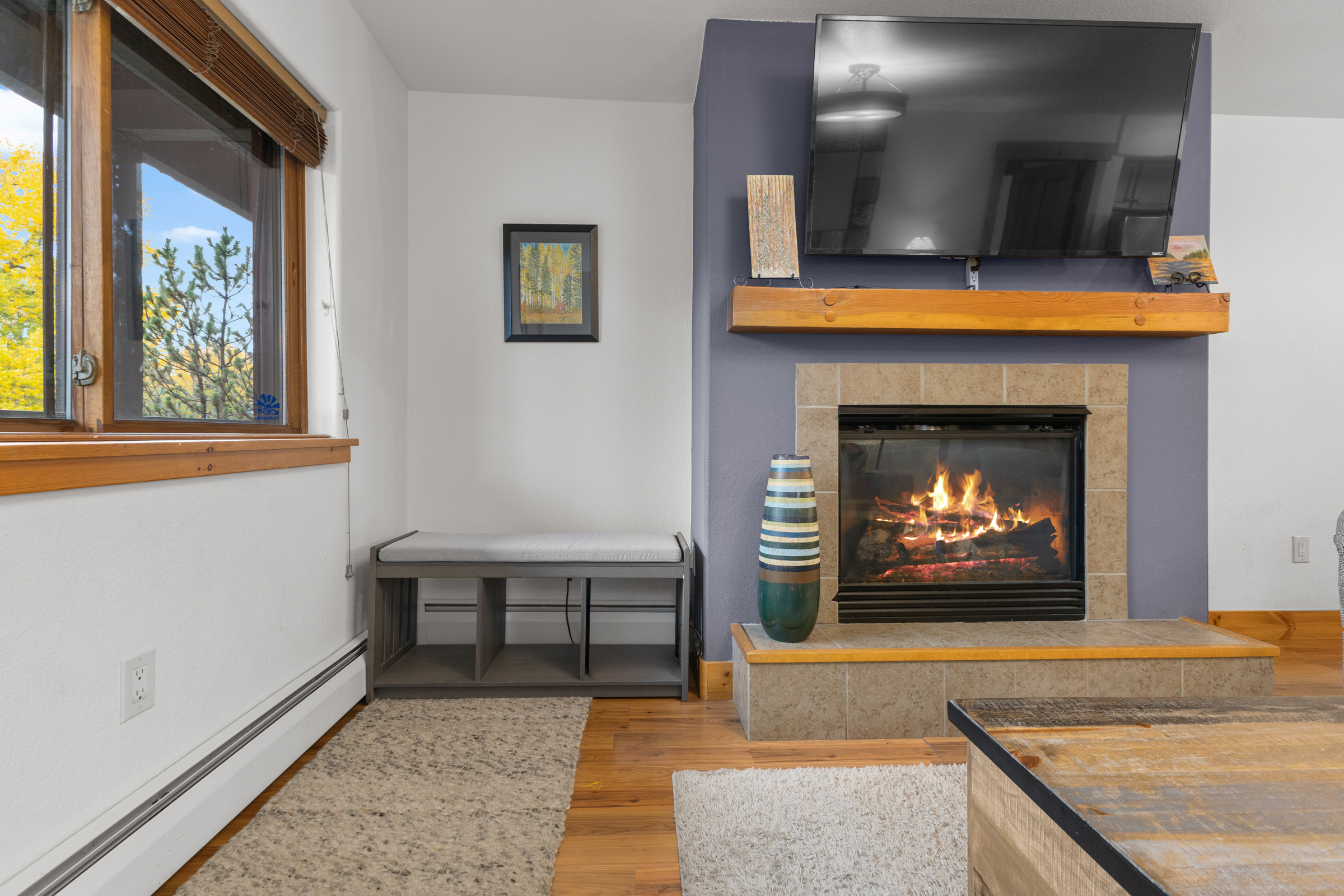 Gas Fireplace