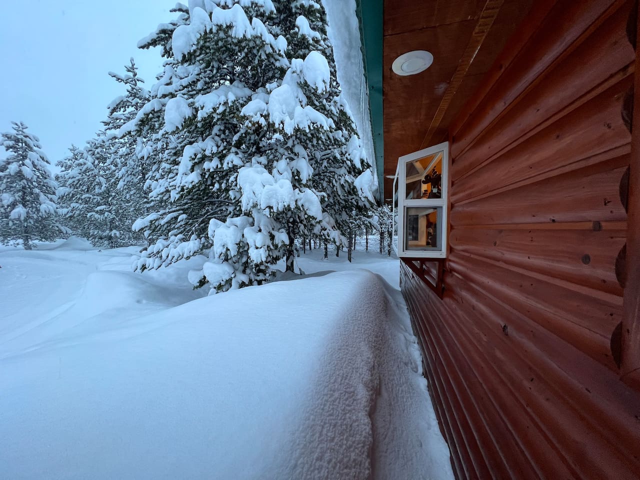 Kitchen bay window overlooking circular driveway.