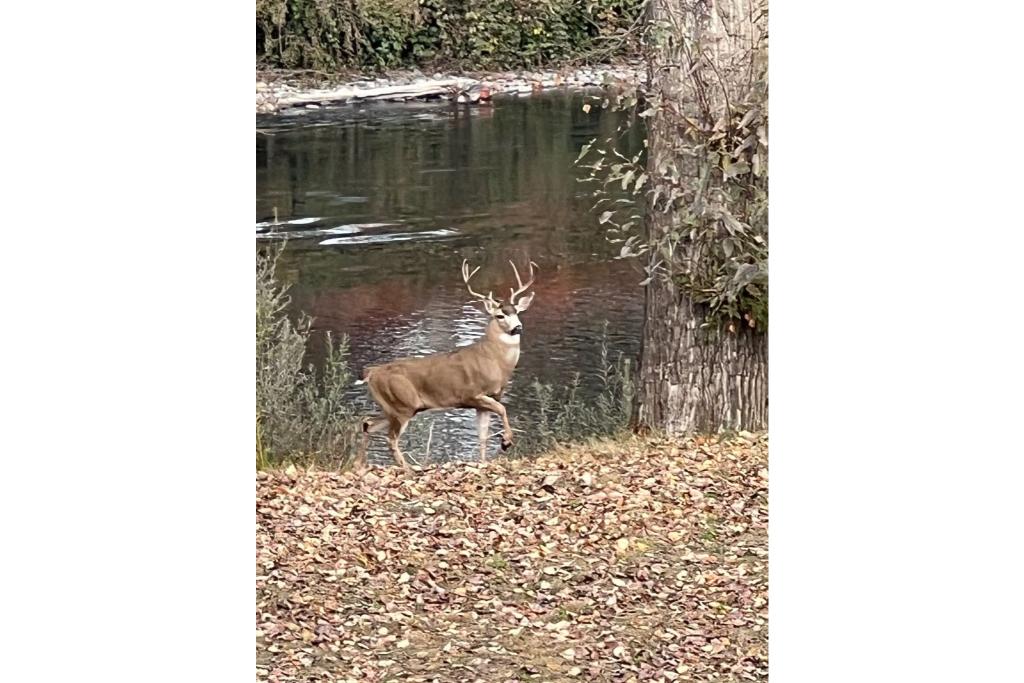 grants pass vacation home