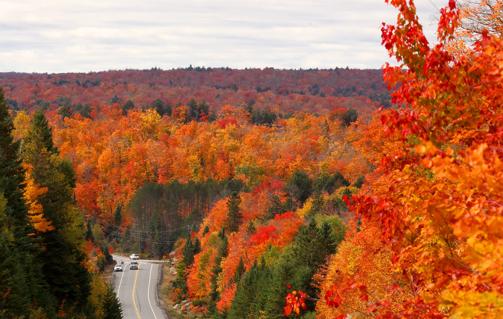 The best time to view fall colors in the Bancroft area, generally begins in mid-September and continues through mid-October, exact timing may vary each year.