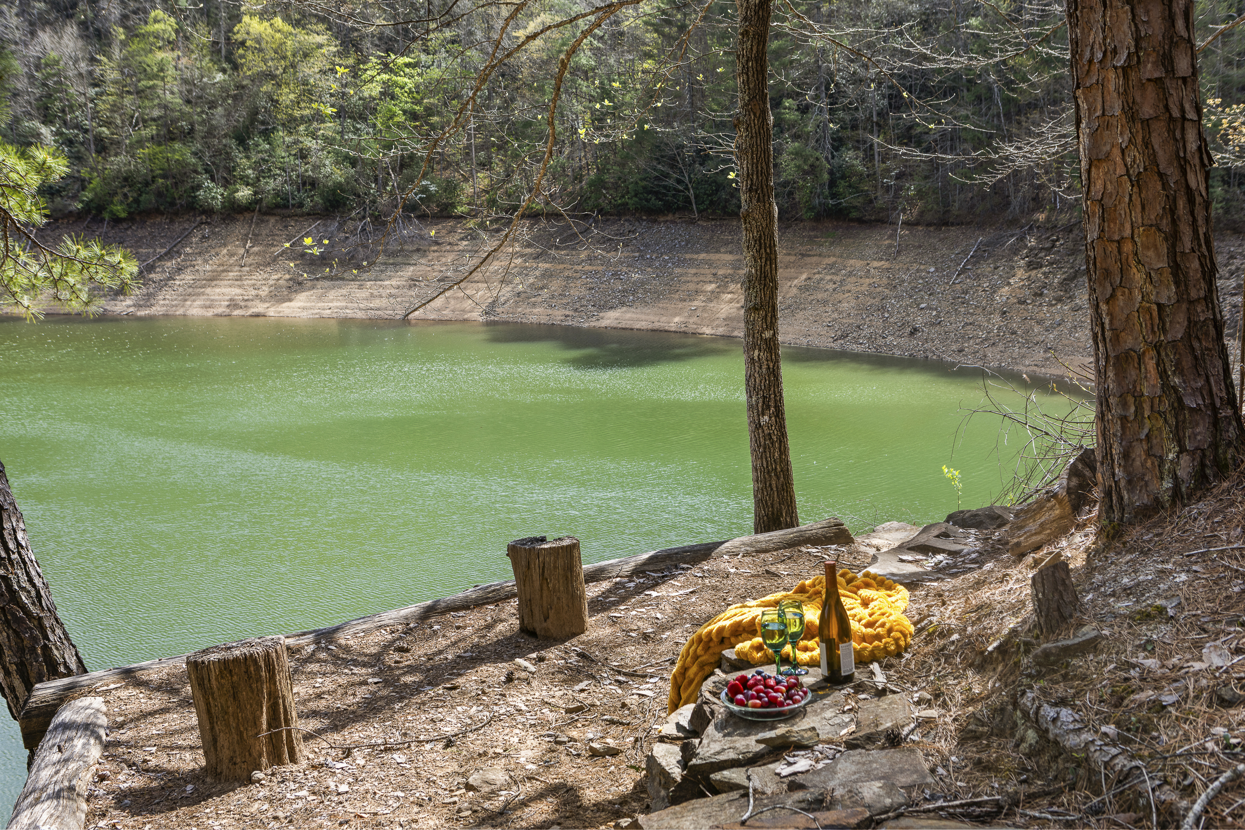 Lakeside Retreat: Savor wine and fresh fruit by the shimmering green waters in nature's embrace!