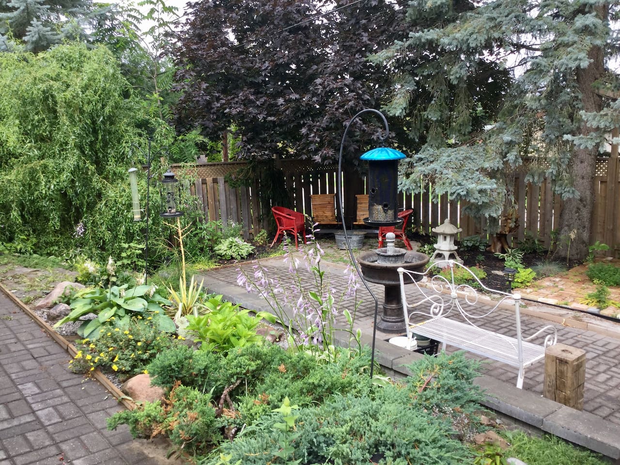Backyard