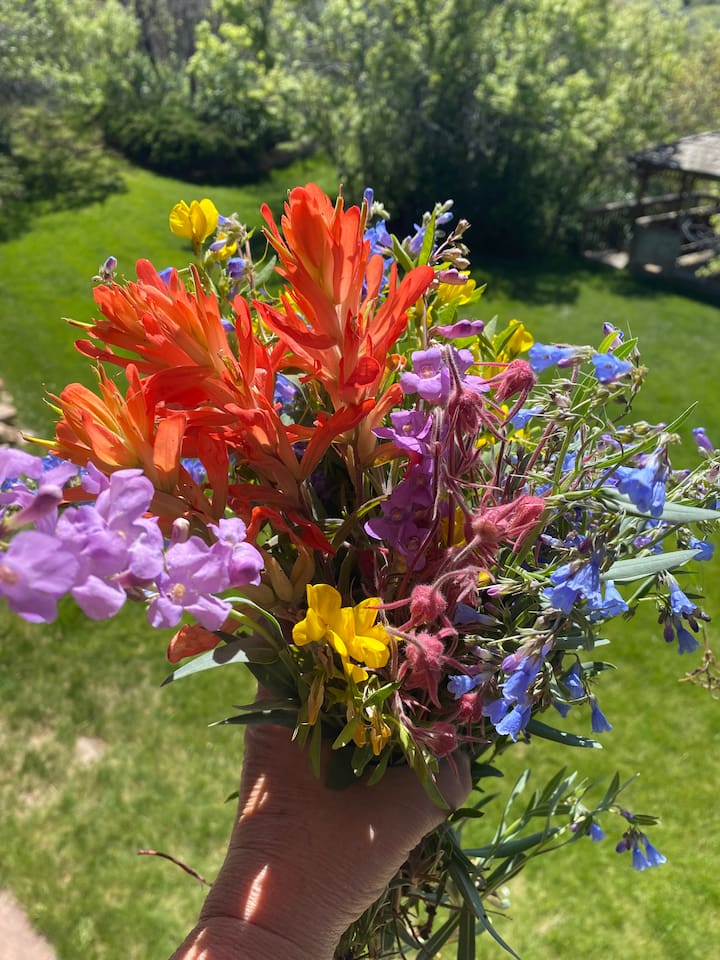 Bouquet of wildflowers from the land.